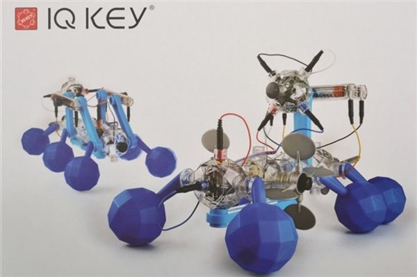IQ Key