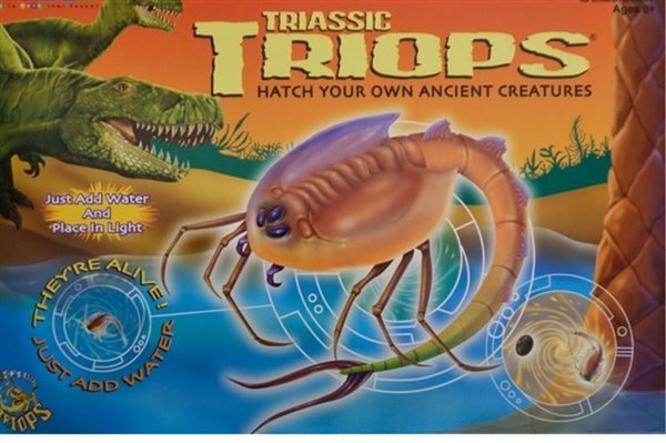Triops, sjöodjur